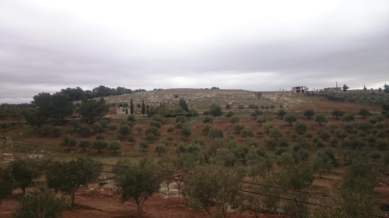 Villa Town Of Mount Nebo Madaba Exterior foto